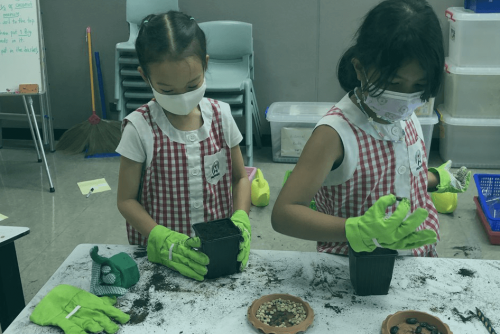 planting seeds blog img1